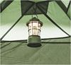 Picture of STARFLOWER LANTERN